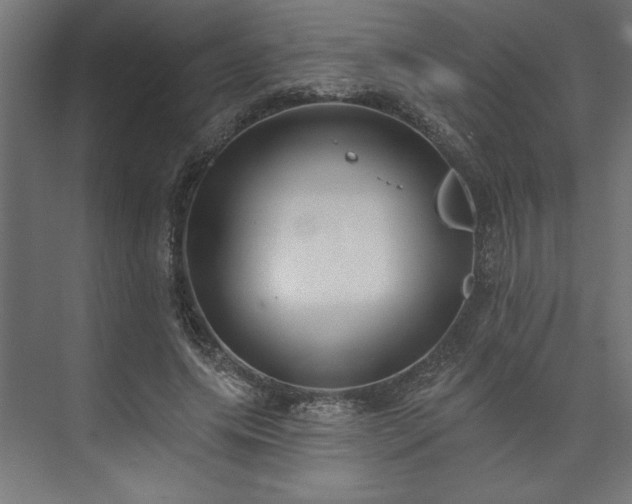 X0000073950639200608281216