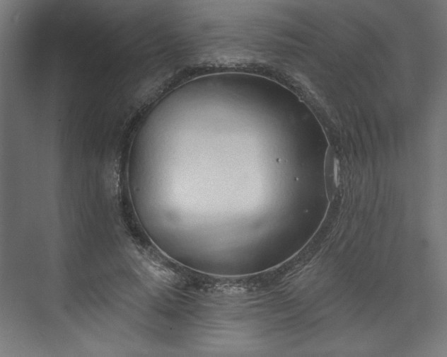 X0000073950640200608281216