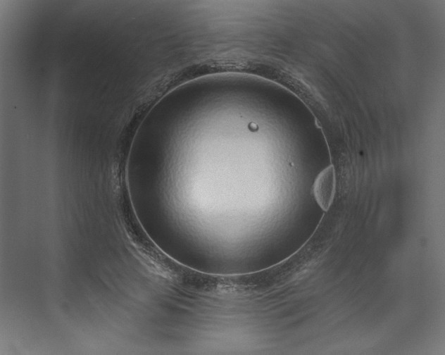 X0000073950641200608281216