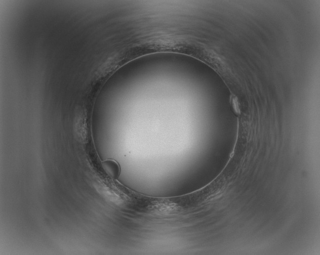 X0000073950642200608281216