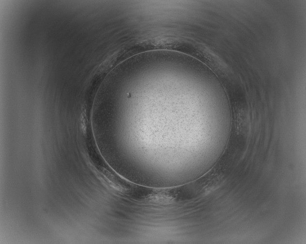 X0000073950644200608281216