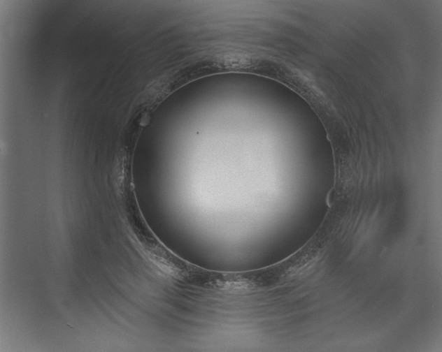 X0000073950645200608281216