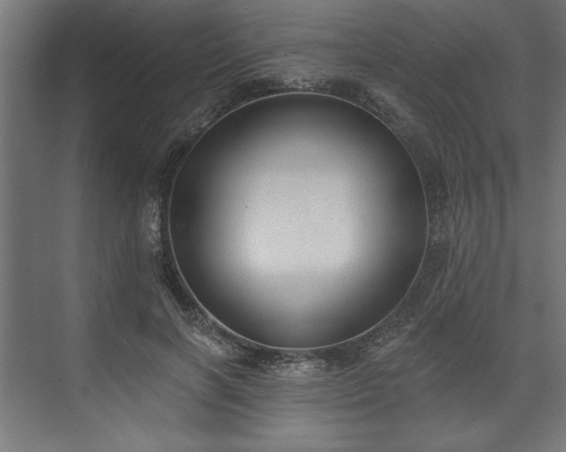 X0000073950646200608281216