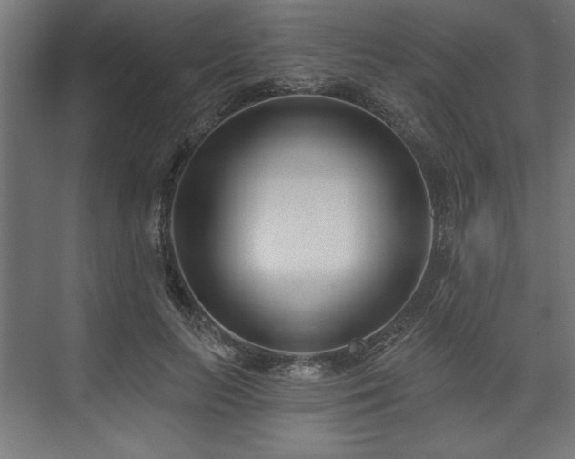 X0000073950647200608281216