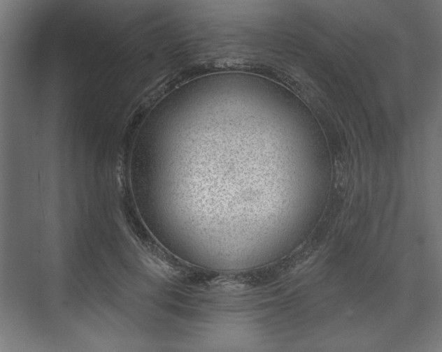 X0000073950648200608281216