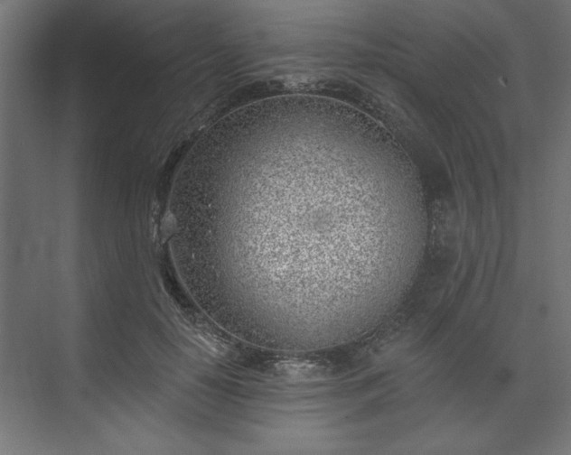 X0000073950650200608281216