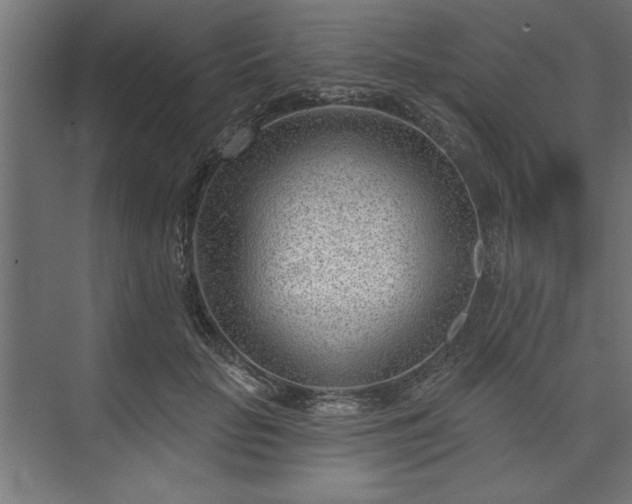 X0000073950653200608281216