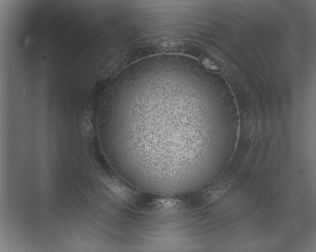 X0000073950654200608281216