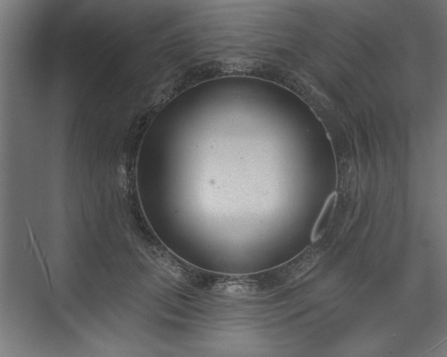 X0000073950655200608281216