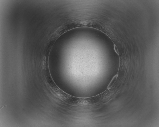 X0000073950656200608281216