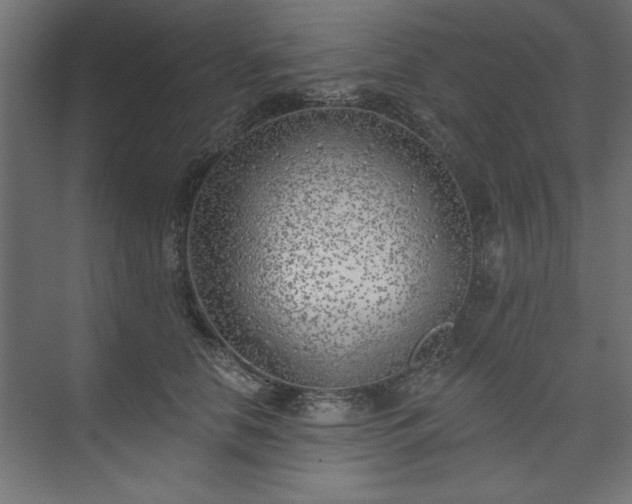 X0000073950658200608281216