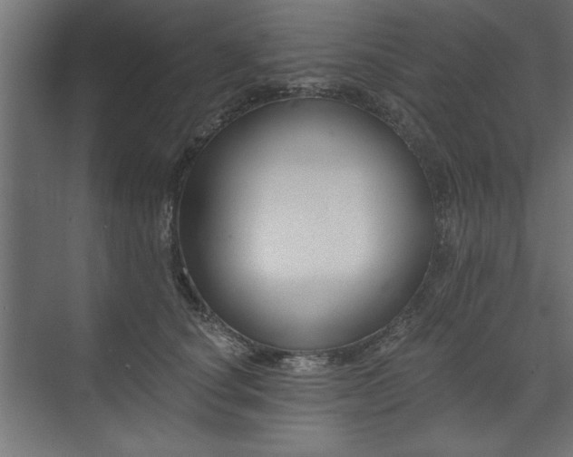 X0000073950660200608281216