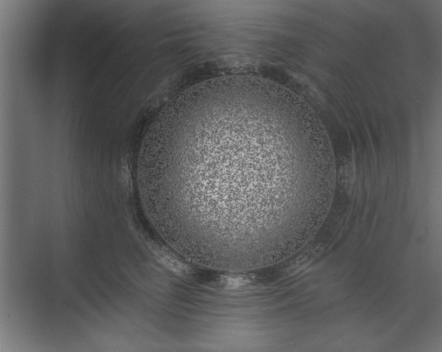 X0000073950662200608281216