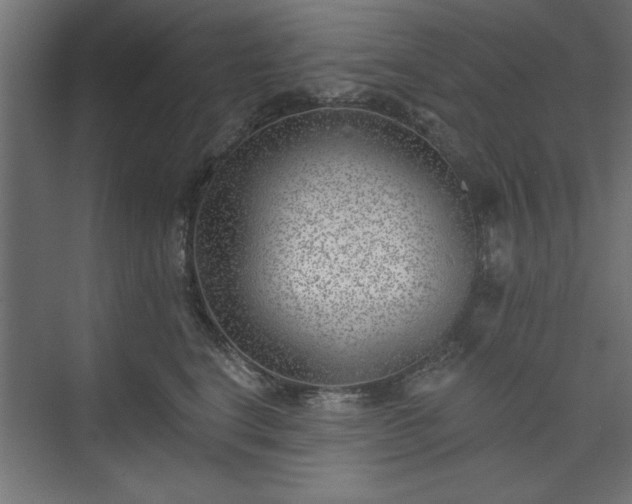 X0000073950664200608281216