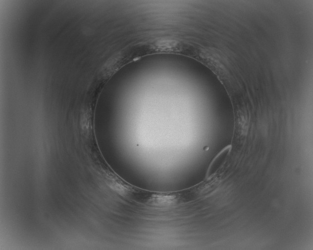 X0000073950665200608281216