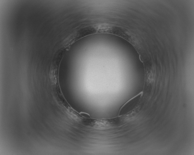 X0000073950666200608281216