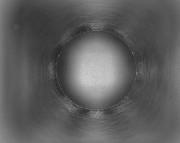 X0000073950667200608281216