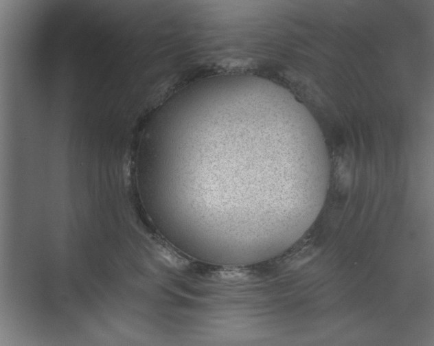 X0000073950668200608281216