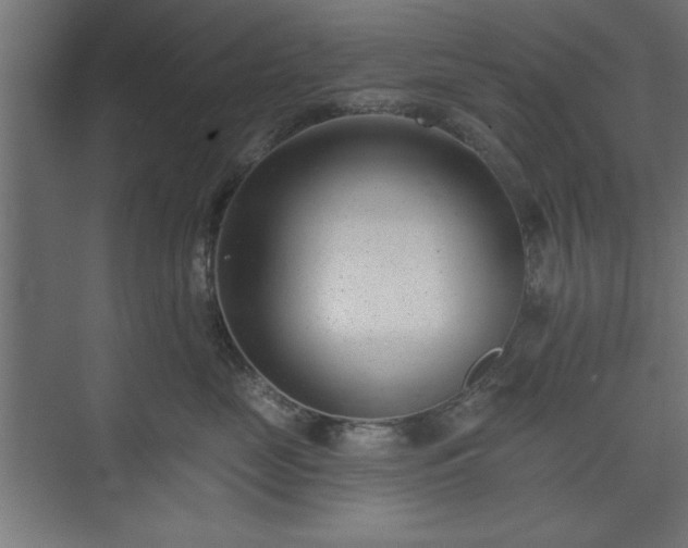 X0000073950669200608281216