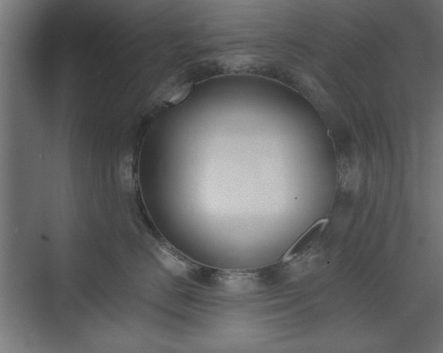 X0000073950670200608281216