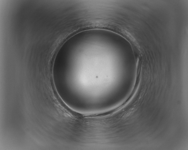 X0000073950673200608281216