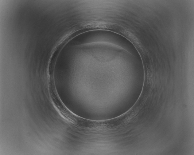 X0000073950674200608281216