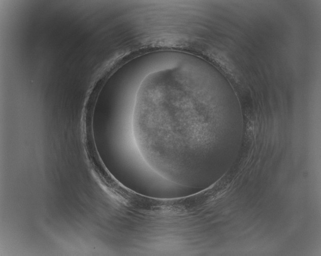 X0000073950678200608281216