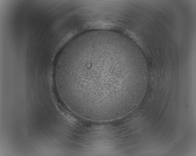 X0000073950679200608281216