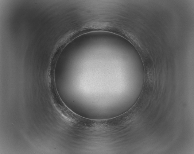 X0000073950682200608281216