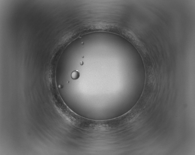 X0000073950683200608281216