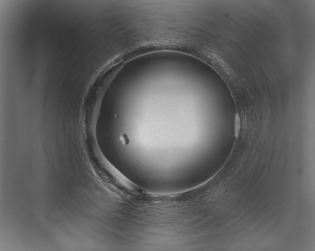 X0000073950684200608281216