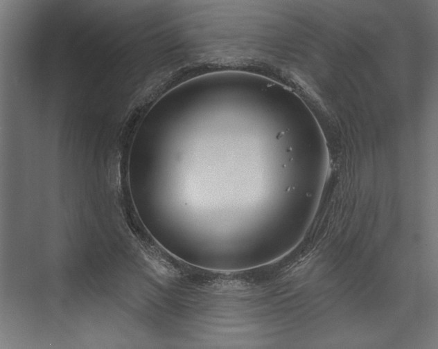 X0000073950685200608281215