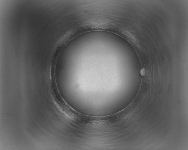 X0000073950686200608281215