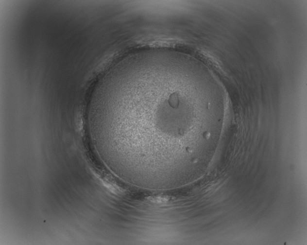 X0000073950687200608281215