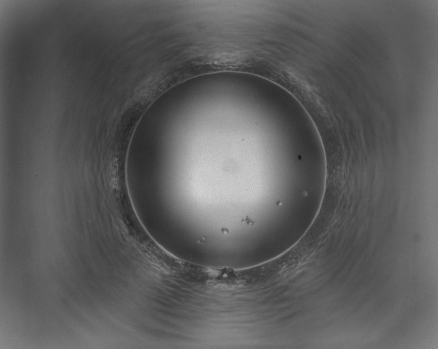 X0000073950689200608281215