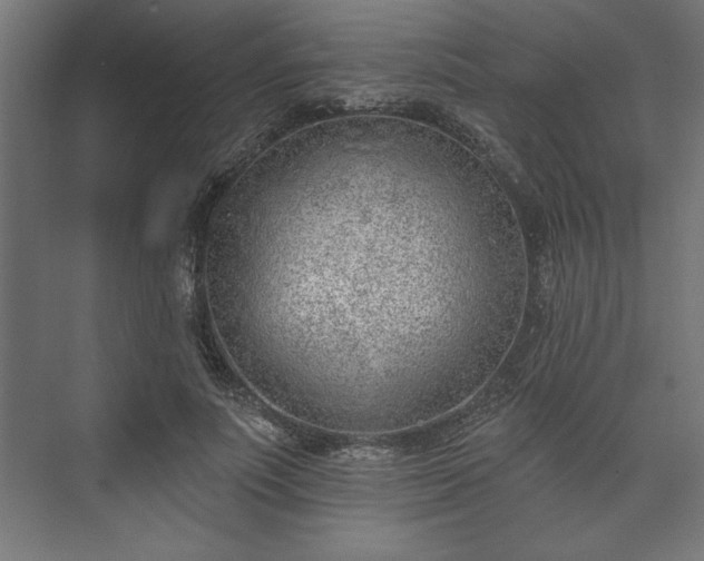 X0000073950691200608281215