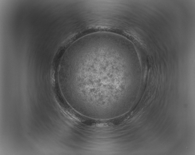 X0000073950692200608281215