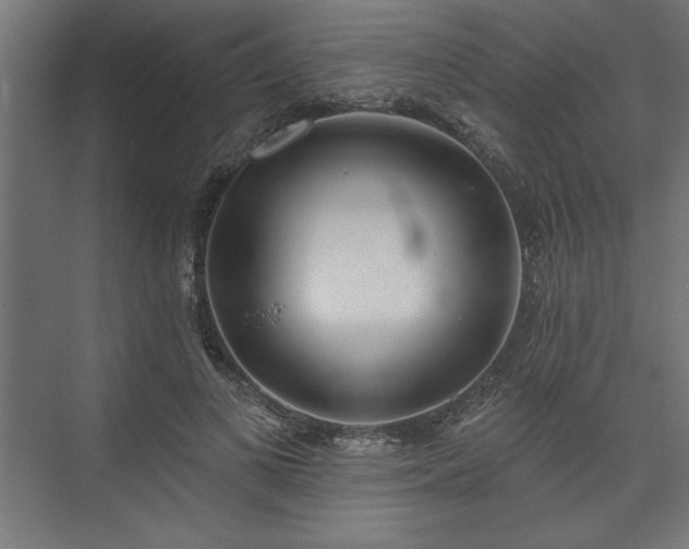 X0000073950693200608281215