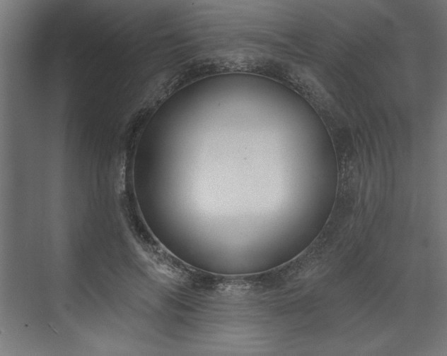 X0000073950694200608281215