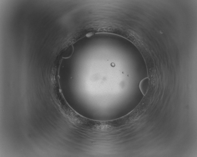 X0000073950695200608281215