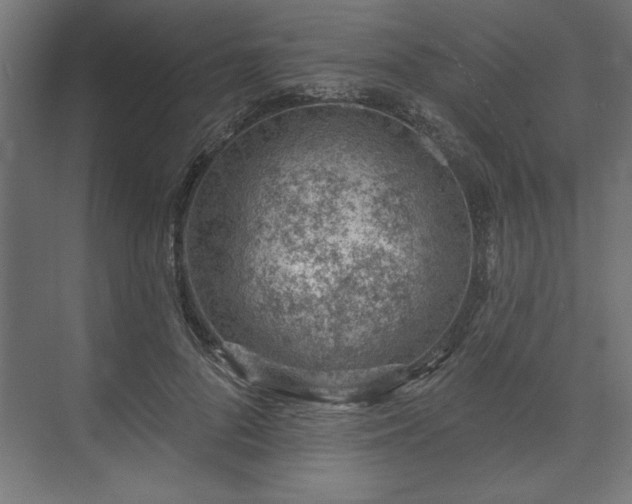 X0000073950696200608281215