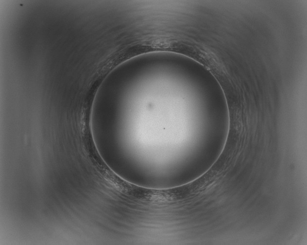 X0000073950697200608281215