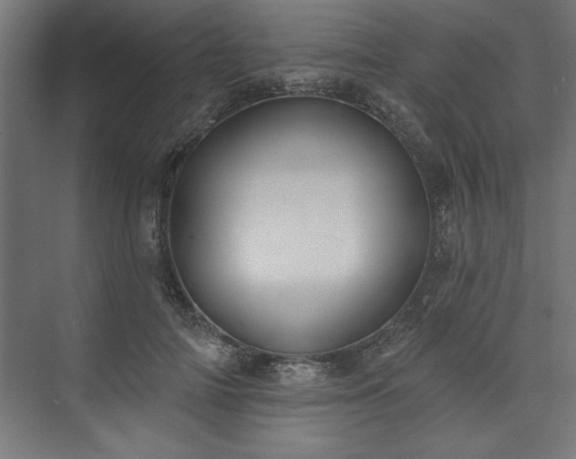 X0000073950698200608281215