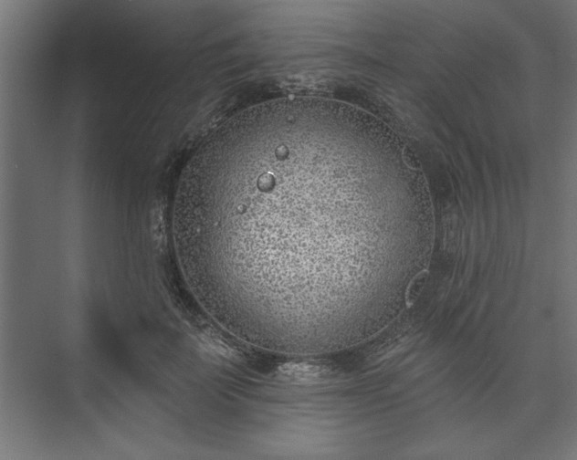 X0000073950699200608281215