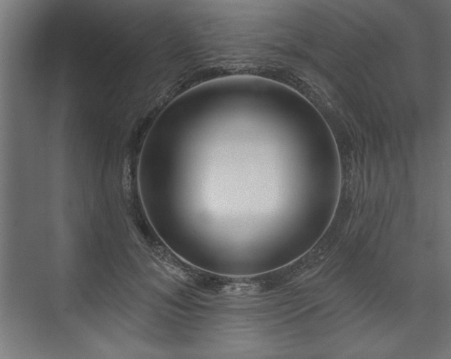 X0000073950700200608281215