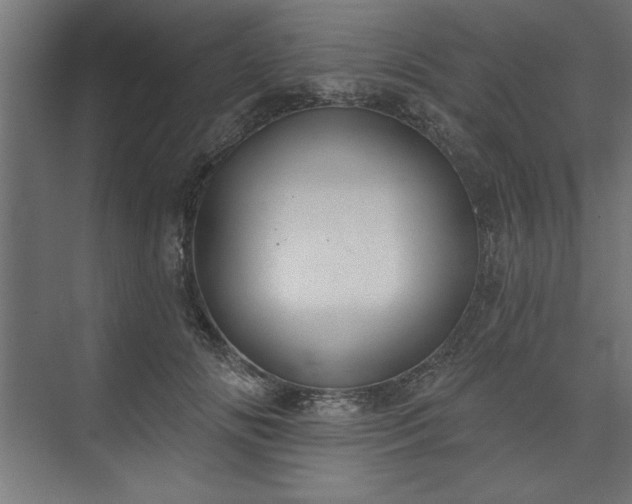 X0000073950702200608281215