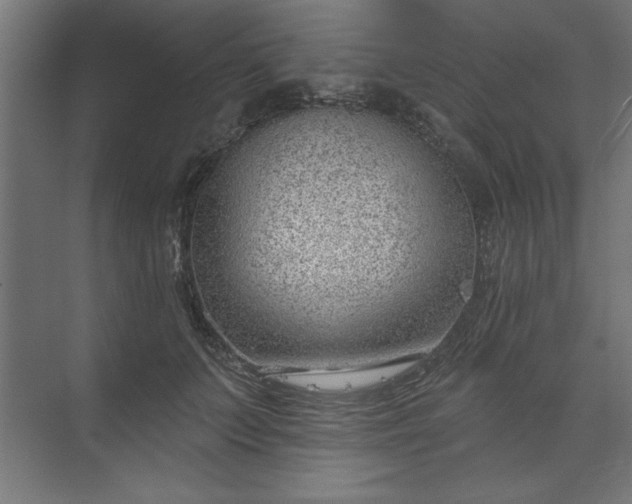 X0000073950703200608281215