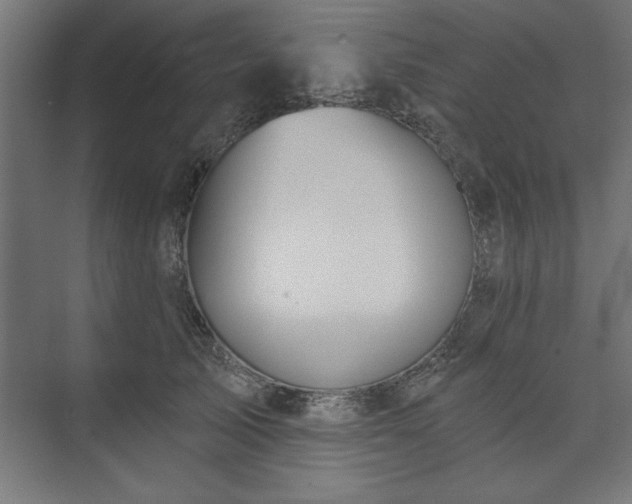 X0000073950705200608281215