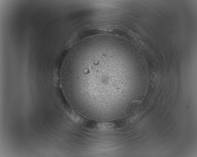 X0000073950707200608281215