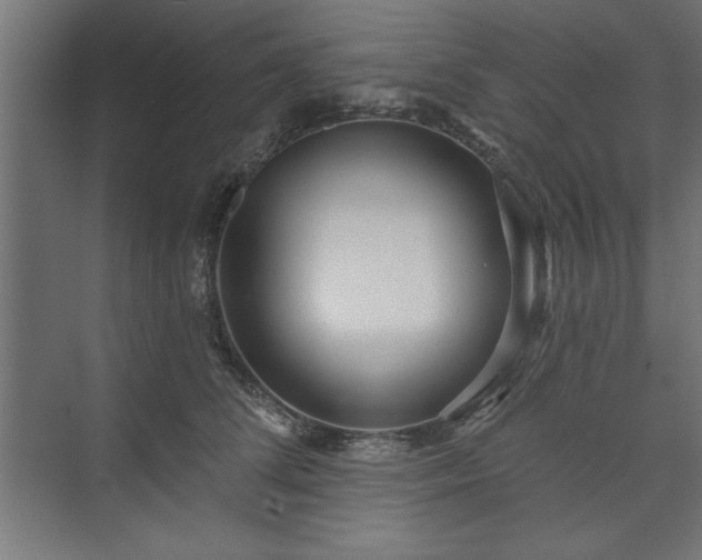 X0000073950708200608281215